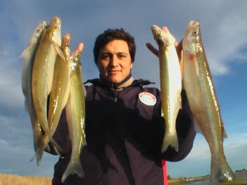 Gastón Elgart y una productiva jornada de pesca en la laguna Sauce Grande, en Monte Hermoso 